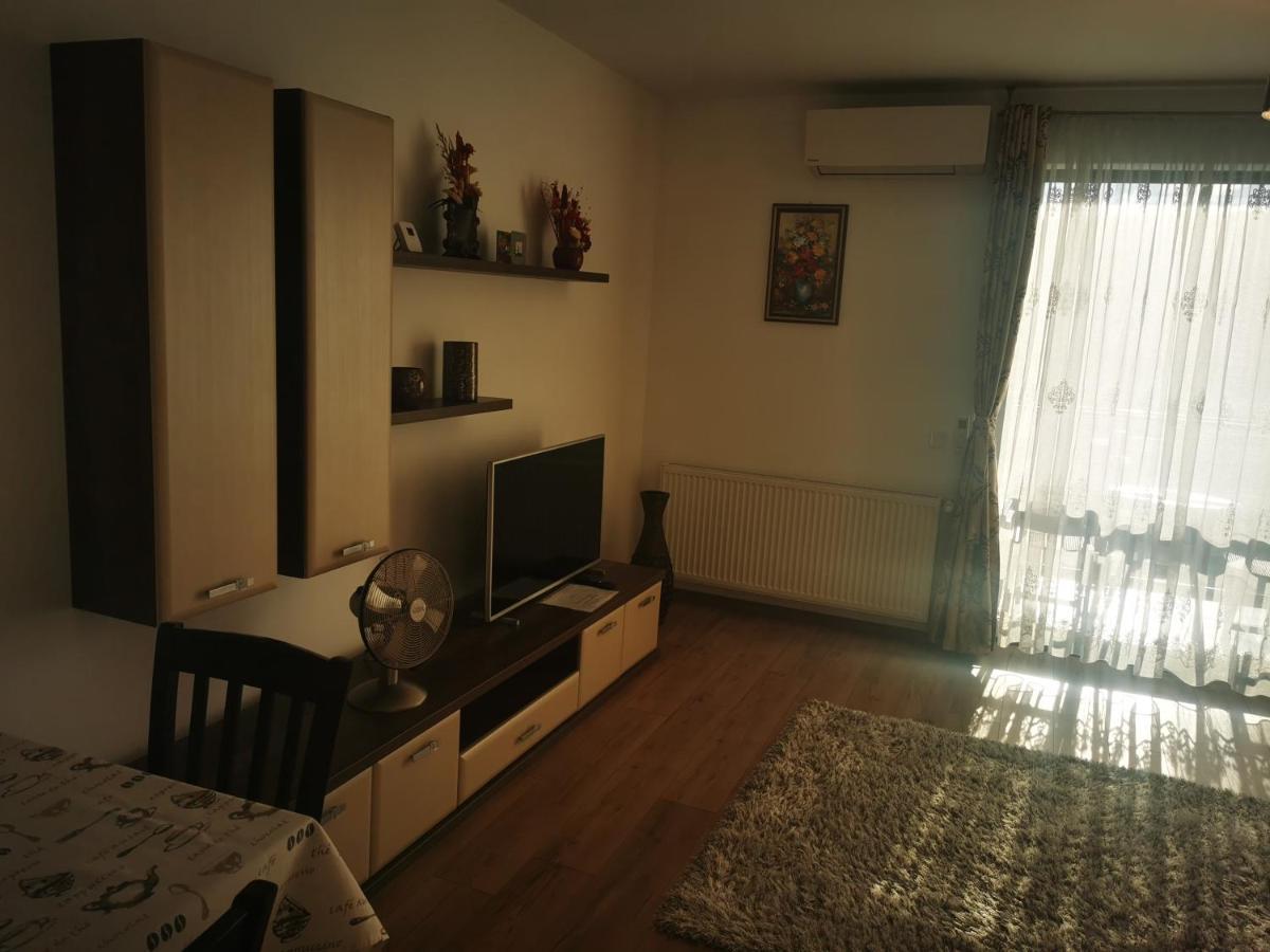 Apartament Studio Green Târgu-Mureş Pokój zdjęcie