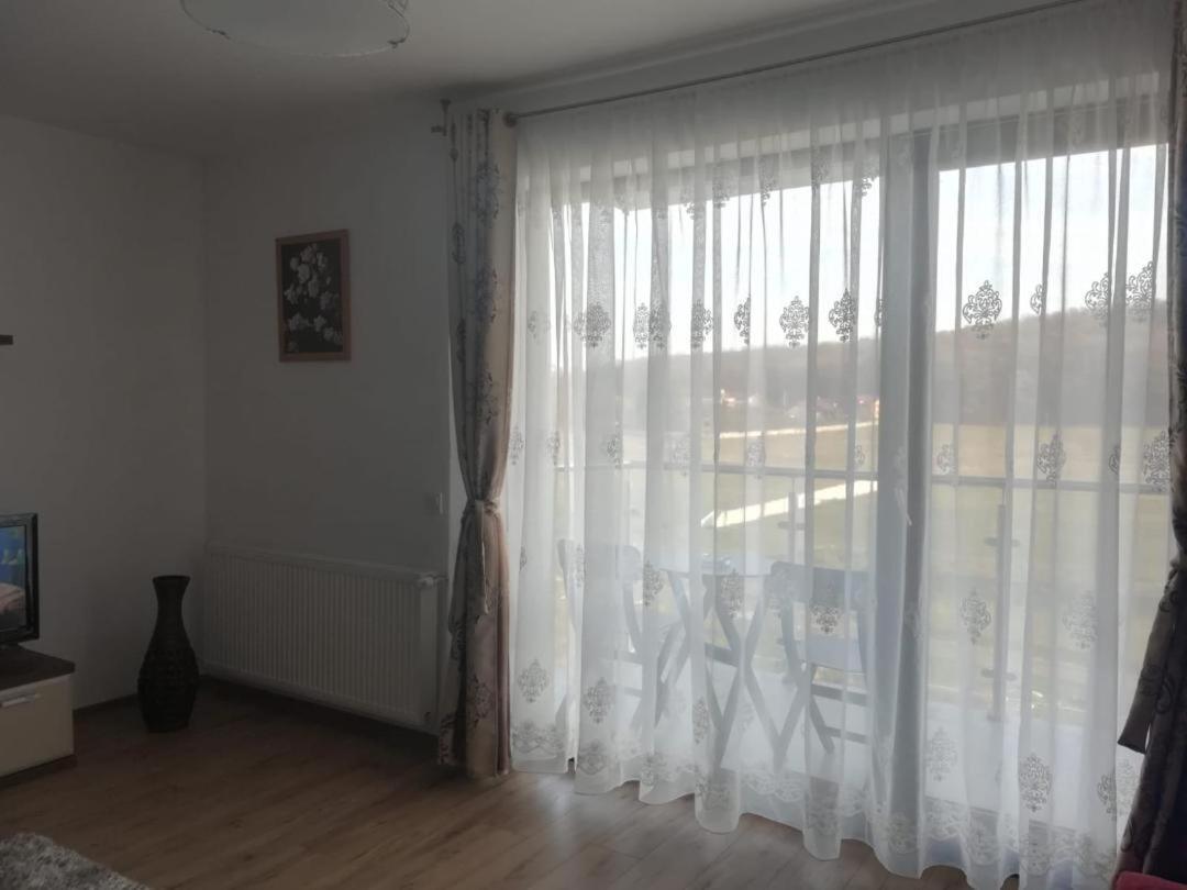 Apartament Studio Green Târgu-Mureş Zewnętrze zdjęcie